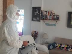 Zimmerbild 7