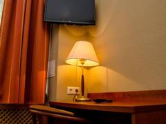 Zimmerbild 12