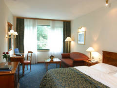 Zimmerbild 35