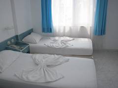 Zimmerbild 8