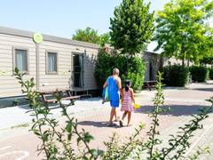 Zimmerbild 24