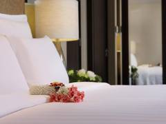 Zimmerbild 35