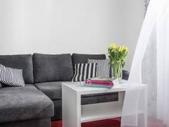 Zimmerbild 21
