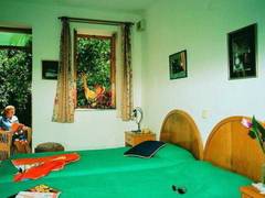 Zimmerbild 13