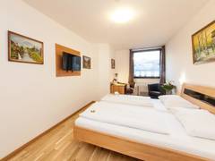 Zimmerbild 10