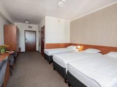 Zimmerbild 14