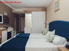 Zimmerbild 26