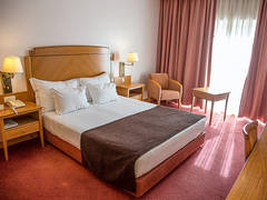 Zimmerbild 11