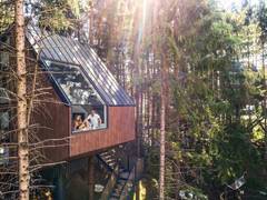 Zimmerbild 12