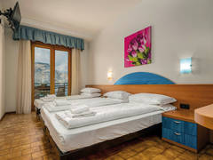 Zimmerbild 13