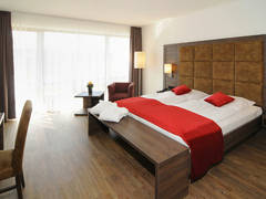 Zimmerbild 9