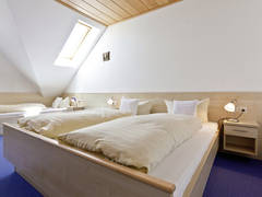 Zimmerbild 7