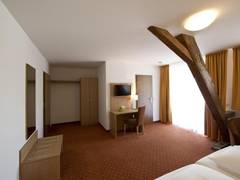 Zimmerbild 13