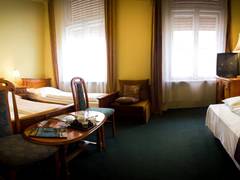 Zimmerbild 7