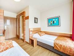 Zimmerbild 11