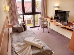 Zimmerbild 11