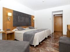Zimmerbild 8