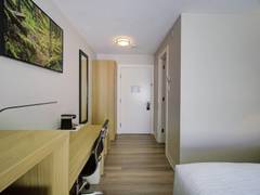 Zimmerbild 12