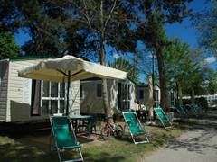 Zimmerbild 27