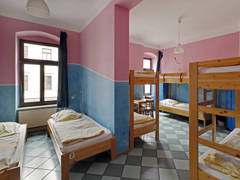 Zimmerbild 8