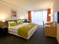 Zimmerbild 5