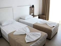 Zimmerbild 7