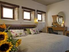 Zimmerbild 8