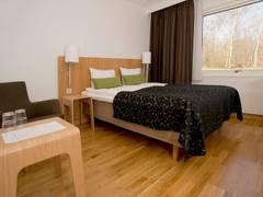 Zimmerbild 15