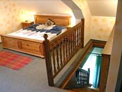 Zimmerbild 9