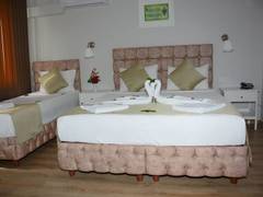 Zimmerbild 9