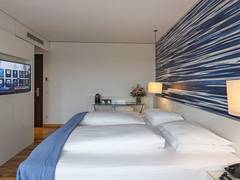 Zimmerbild 14