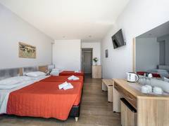 Zimmerbild 7