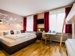 Zimmerbild 7