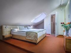Zimmerbild 12