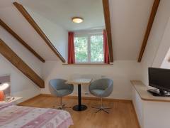 Zimmerbild 8