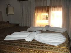 Zimmerbild 26
