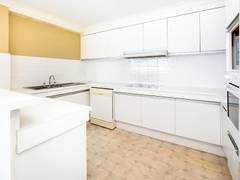 Zimmerbild 11