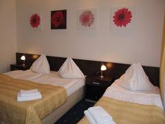 Zimmerbild 10