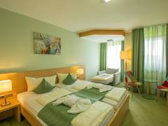 Zimmerbild 11