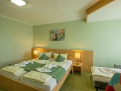 Zimmerbild 12