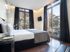 Zimmerbild 12