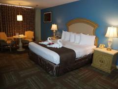 Zimmerbild 14