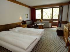 Zimmerbild 12