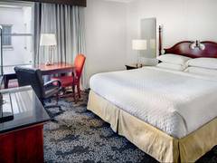 Zimmerbild 8