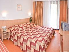 Zimmerbild 35