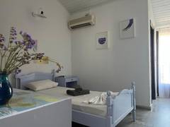 Zimmerbild 11