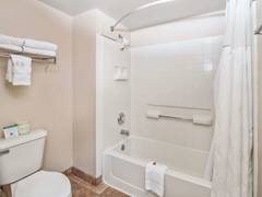 Zimmerbild 7