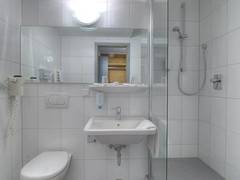 Zimmerbild 11