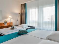 Zimmerbild 11