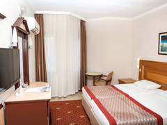 Zimmerbild 6